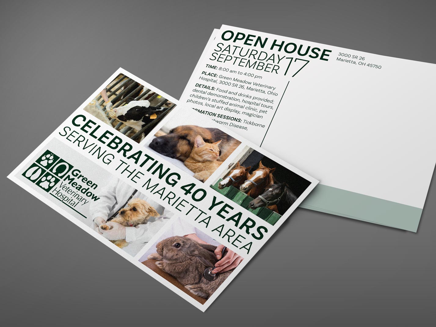 Green Meadow Veterinary Hospital Anniversary Promo