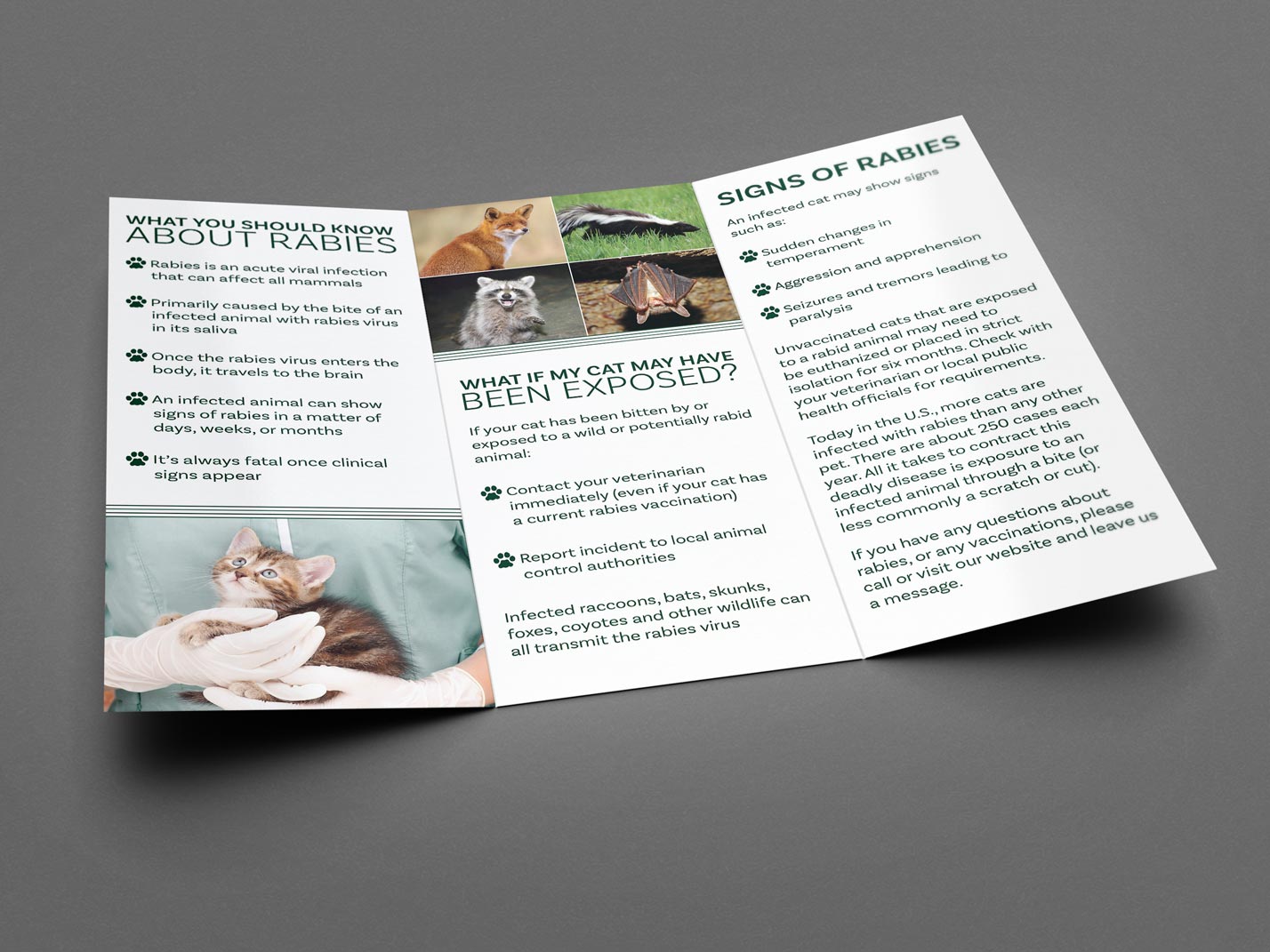 Green Meadow Veterinary Hospital Rabies Brochure