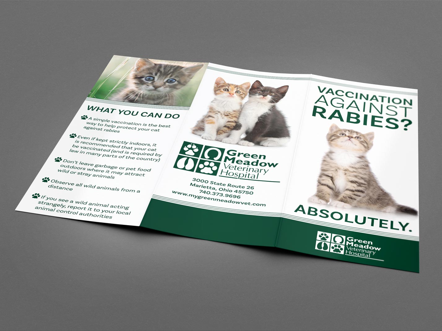 Green Meadow Veterinary Hospital Rabies Brochure